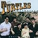Solid Zinc: The Turtles Anthology