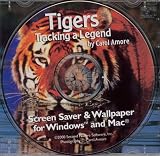 Tigers By Carole Amore (Jewel Case) by Second Nature