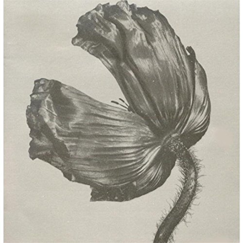 Pet Shop Boys - London [UK CD #1] - Zortam Music