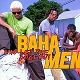 Who Let the Dogs Out by Baha Men