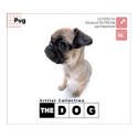 THE DOG�`Pug