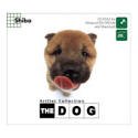 THE DOG�`Shiba