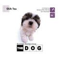 THE DOG�`ShihTzu