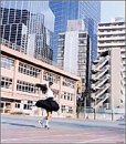 Brand-new Myself 〜僕にできること