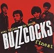Ever Fallen in Love? Buzzcocks Finest
