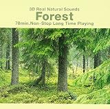 3Dリアル自然音「森の静けさ」