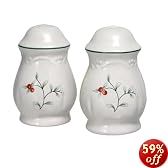 Pfaltzgraff Winterberry Salt and Pepper Set