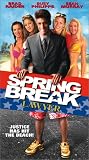 Spring Break Lawyer