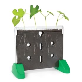 Educational Insights Sprout and Grow Window ~ 5101 by Educational Insights