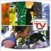 �ҥåġ�����TV 2002