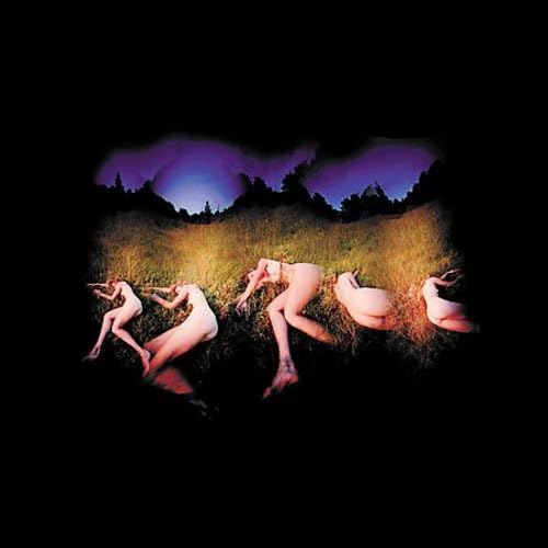 The Future Sound of London - The Isness - Zortam Music