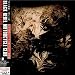 Graphic: Spread Your Love [Japanese Import] by Black Rebel Motorcycle Club