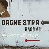 Specialists in All Styles Import by Orchestra Baobab