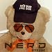 Nerd - Rock Star