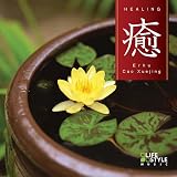 癒~二胡~