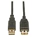 10ft USB 2.0 Ab Extension Cablegold for Use with USB 2.0 Cables
