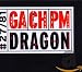 In the Year of the Dragon