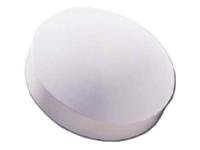 Digitalkameras: D-Link ANT24-0401 Antenne Indoor Omni-Directional 4dBi 2.4GHz