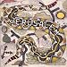 Steve Earle - Jerusalem