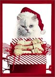 Cat with Bones (Holiday Cards)