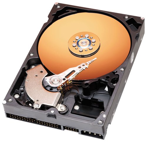 TFT Monitore: Western Digital WD600BB Caviar 60GB IDE-Festplatte 7200rpm, 2MB (Retail)
