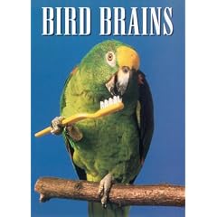Bird Brains DVD