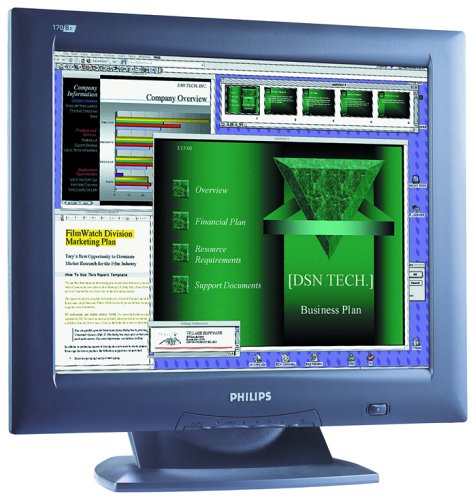 Projektoren: Philips 170B2T 17-Zoll LCD-Monitor anthrazit (DVI)