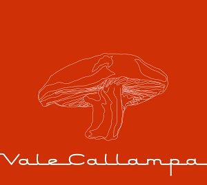 Cafe Tacuba - Vale Callampa - Zortam Music
