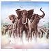 Graphic: Armed Forces by Elvis Costello