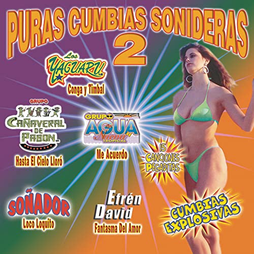 Puras Cumbias Sonideras 2