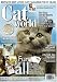 Cat World