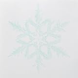Snow Smile