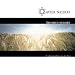 Abschied Nehmen/Jewel-Case
