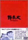 野良犬