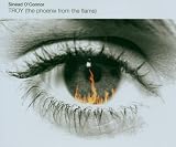 Troy (The Phoenix From the Flame)