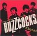 Ever Fallen in Love?: Buzzcocks Finest