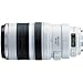 Canon EF 100-400mm f4.5-5.6L IS USM Telephoto Zoom Lens for Canon SLR Cameras