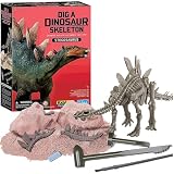 Kidzlabs  - Dig a Stegosaurus Skeleton
