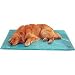 Orthopedic Dog Bed : Canine Cooler Brand Thermoregulating Pet Bed (18