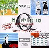 High Quality Digital Image for Professional YAMANECO