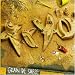 E Bibliotheque.com : Grain De Sable