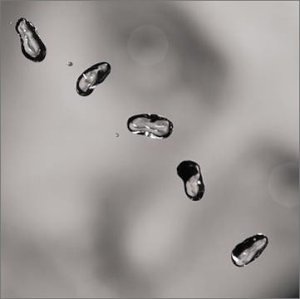 Peter Gabriel - Up (SACD) - Zortam Music