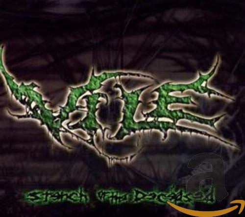 Vile - Cradle of Deceit Lyrics - Zortam Music