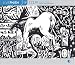 Live Phish Vol. 19: 7/12/91, Colonial Theatre, Keene, New Hampshire