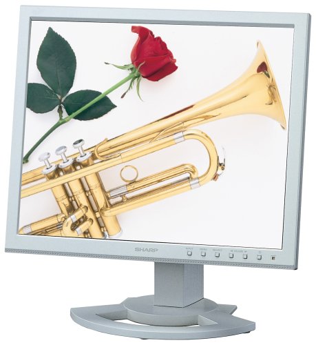 Festplatten: Sharp LL-T1520H 15-Zoll LCD-Monitor weiss/beige (integr. Lautsprecher, DVI)