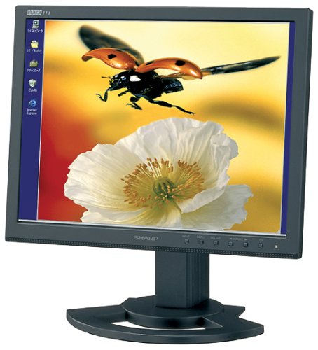 Festplatten: Sharp LL-T1520B 15-Zoll LCD-Monitor schwarz (integr. Lautsprecher, DVI)