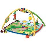 Kids II Baby Einstein Play Gym