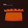 Turn On the Bright Lights