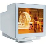 Notebooks: NEC-Mitsubishi MultiSync FE2111SB Monitor 22 Zoll 1920 x 1440 76Hz digt OSD TCO99 standard-grau