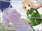 Iris ~ イリス ~ 通常版